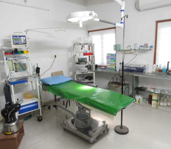 સર્જીકલ વિભાગ